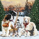 選択 ペーパーナプキン スキーとソリと犬家族 Ambiente アンビエンテ クリスマス Dog ドッグ ゴールデンレトリバー セントバーナード