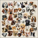 選択 ペーパーナプキン コレクションオブドッグス Ambiente アンビエンテ 犬 Dog ドッグ イヌ