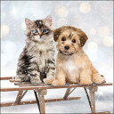 選択 ペーパーナプキン 雪景色の子猫と子犬 ミミ&ボー Ambiente アンビエンテ クリスマス Dog ドッグ キャット Cat