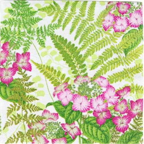 選択 ペーパーナプキンFern Garden Caspari カスパリ ランチサイズ 白地 シダ ワラビ