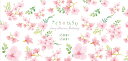 一筆箋 さくらひらり FRONTIA フロンティア 一言便箋 さくら 桜 サクラ
