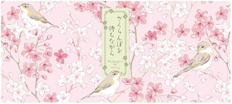 一筆箋 さくらんぼを待ちながら FRONTIA フロンティア 一言便箋 さくら 桜 サクラ