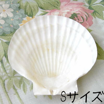 楽天市場】ホタテ(手芸・クラフト・生地|日用品雑貨・文房具 楽天市場】ホタテ(手芸・クラフト・生地|日用品雑貨・文房具