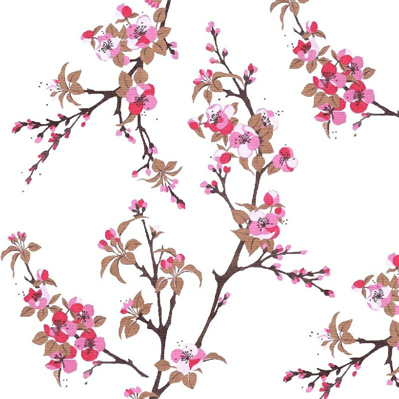 選択 ペーパーナプキンFiori Rossi 赤い花 ppd Paper Products Design ランチサイズ 花柄