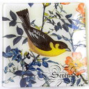 FRINGE グラストレーバードBird 鳥・小鳥・バード・トリ・