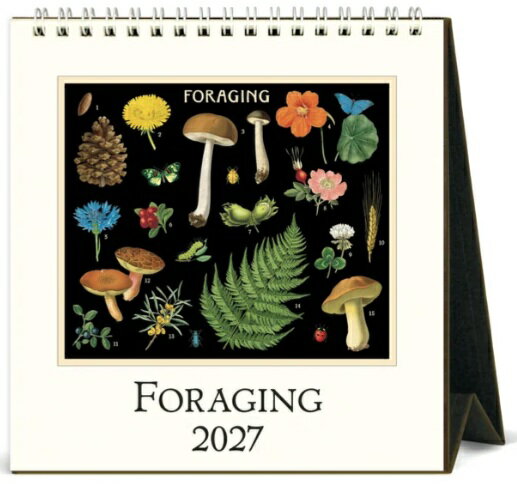 Cavallini&Co 卓上カレンダー FORAGING フォレジング キノコ きのこ 2027年/2025年 カヴァリーニ カバリーニ 輸入カレンダー デスクカレンダー