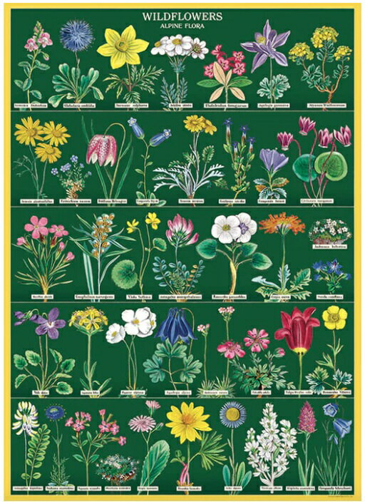 輸入ポスター 包装紙 ラッピングペーパー ワイルドフラワー2 Cavallini&Co カヴァリー二 ギフトラップ 植物 花...