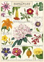 輸入ポスター 包装紙 ラッピングペーパー ボタニスト Cavallini&Co カヴァリー二 ギフトラップ 植物画 花画