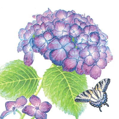 10枚ペーパーナプキン 紫陽花と蝶 ppd[Paper Products Design]ドイツ製 ランチサイズ ハイドレンジア&バタフライ あじさい アジサイ tanba