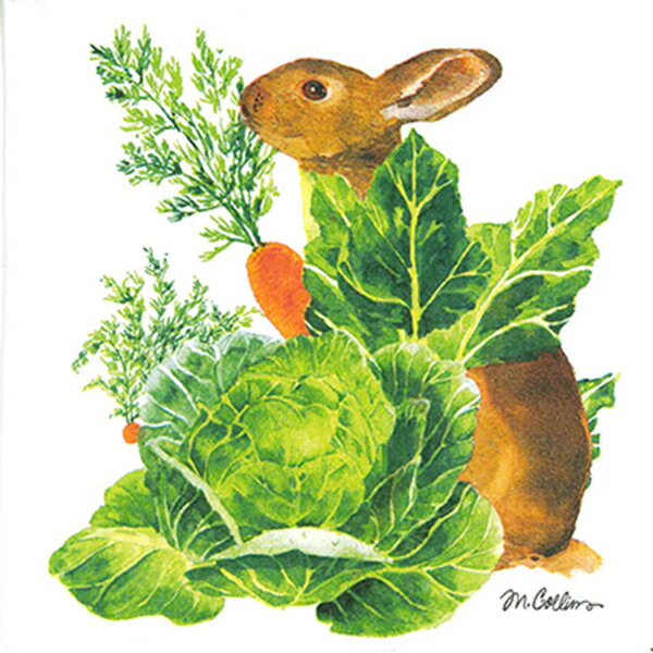 10枚ペーパーナプキン ウサギとキャベツと人参 Paper Products Design PPD ドイツ製 デコパージュ ウサ..