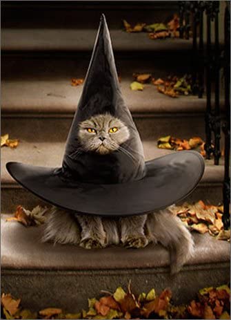 ハロウィンカード　魔女帽子猫　ネコ　キャット・秋・HALLOWEEN　ハロウィン　メッセージ・ギフトカード・グリーティング