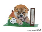夏カード　温度計付き　暑がる犬　 [Sanrio]サンリオ暑中見舞いカード　サマーカード　残暑見舞い