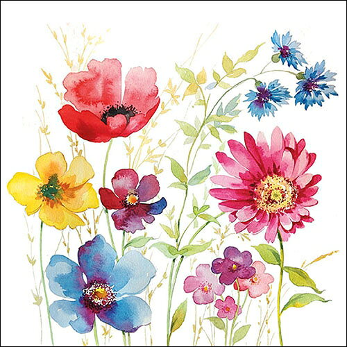 樂天商城 - 10枚ペーパーナプキン 水彩草地花 Aquarell Meadow Ambienteアンビエンテ ランチサイズ 白地