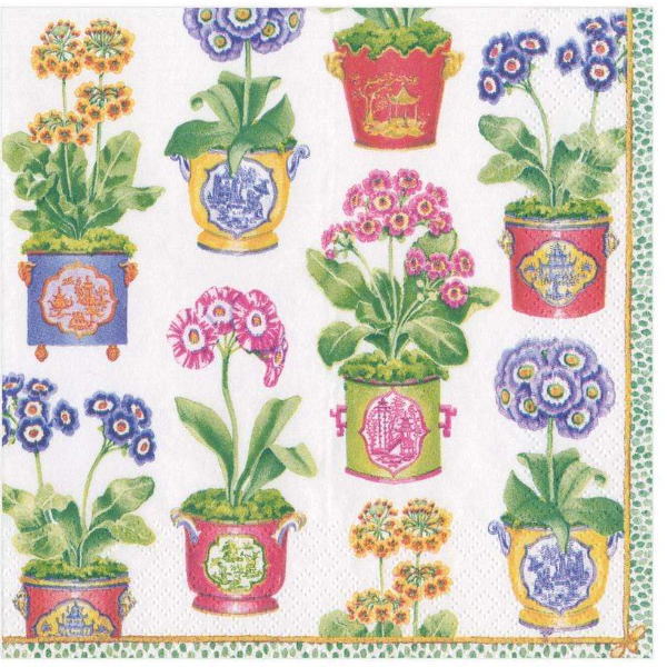 5枚 ペーパーナプキン プリムローズ Primroses Caspari カスパリ フラワー 花 白地