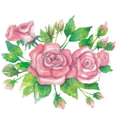 10枚 ペーパーナプキン Rose Garden 水彩スケッチローズ ppd ドイツ製 デコパージュ ばら 薔薇 バラ 白地