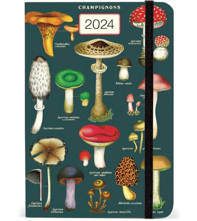 Cavallini&Co カバリーニ 手帳 2024年 1月始まり A6 ウィークリー キノコ ダイアリー2024 マッシュルーム きのこ カヴァリーニ＆コー 輸入ダイアリー スケジュールノート スケジュール帳