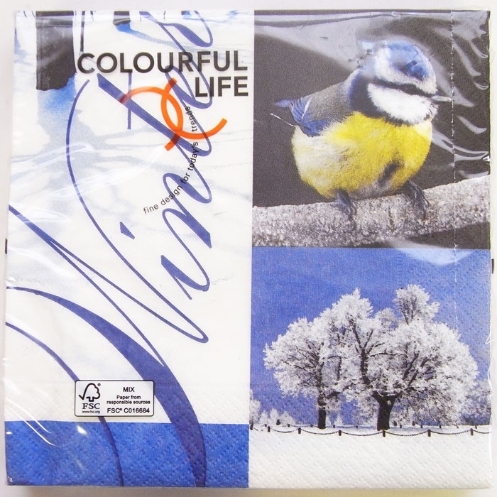 C-51 3��ڡ��ѡ��ʥץ��� ���������� frosty [COLOURFUL LIFE]����ե�饤��winter������Ļ���㲽�ѡ��̿�����ʥץ��󡦥ǥ���...