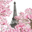 10枚ペーパーナプキン 4月のパリ April in Paris [Paper Products Design]PPD ペーパープロダクトデザイン ランチサイズ 白地 エッフェル塔 ピンク花