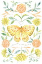 限定 ウィローブルック サシェL ジャストイマジン Fresh Scents フレッシュセンツ 芳香剤