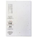 【LINE登録500円OFFクーポン】大直 コピー用紙 和紙 大礼紙 金銀砂子 A4 20枚 206040405