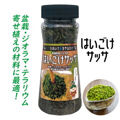 【あす楽】 乾燥 粉末 ハイゴケ はいごけサッサ 7g 【 おうち時間 苔 こけ コケ 盆栽 苔玉 寄せ植え テラリウム ジオラマ 箱庭 手軽 簡単 カンタン スギゴケ スナゴケ ハイゴケ ミニ 豆 グリーン インテリア 癒し 】