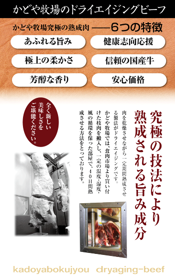 〈ドライエイジング〉サーロインステーキ(A-GRADE)300g【あす楽対応】【ポイント10倍】【RCP】【楽ギフ_のし】【国産牛】【ドライエイジング】【40日熟成肉】【BBQ】【Aグレード商品】P27Mar15