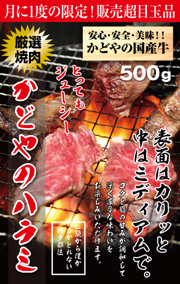 国産牛ハラミ500g【あす楽対応】【RCP】【楽ギフ_のし】