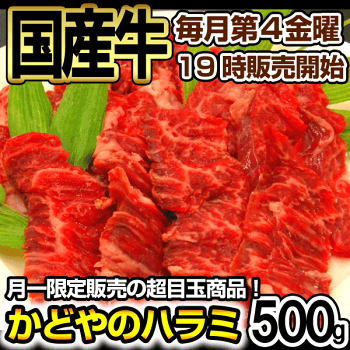 国産牛ハラミ500g【あす楽対応】【RCP】【楽ギフ_のし】