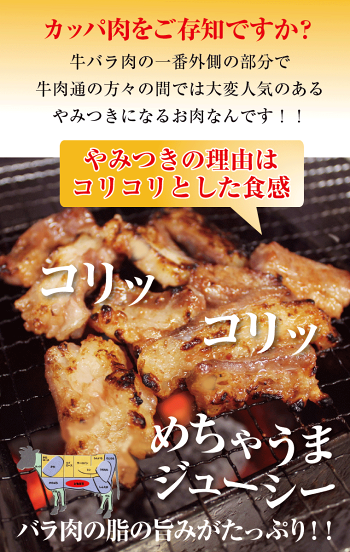 国産牛カッパ味付け焼肉用250【RCP】【楽ギフ_のし】