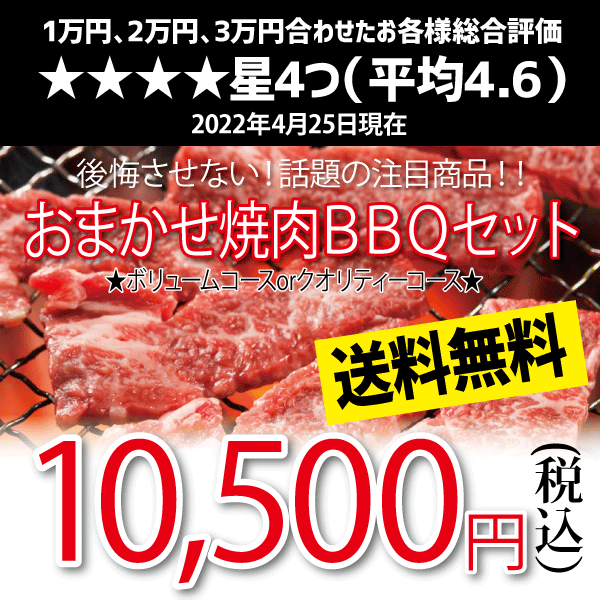 おまかせ焼肉バーベキューセット 10 500円 送料無料 BBQ 幹司さん楽々 かどや牧場 送料無料 国産牛【福袋】