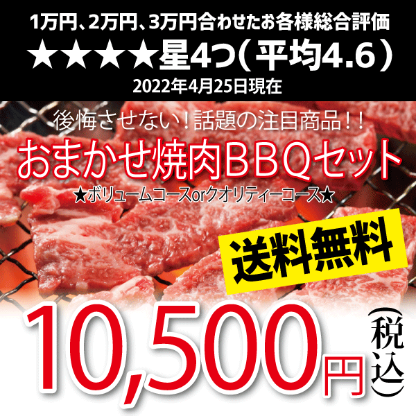 おまかせ焼肉バーベキューセット(10,500円)送料無料 BBQ 幹司さん楽々 かどや牧場 送料無料 国産牛【福袋】