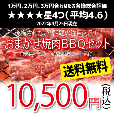 おまかせ焼肉バーベキューセット(10,500円)送料無料 BBQ 幹司さん楽々 かどや牧場 送料無料 国産牛