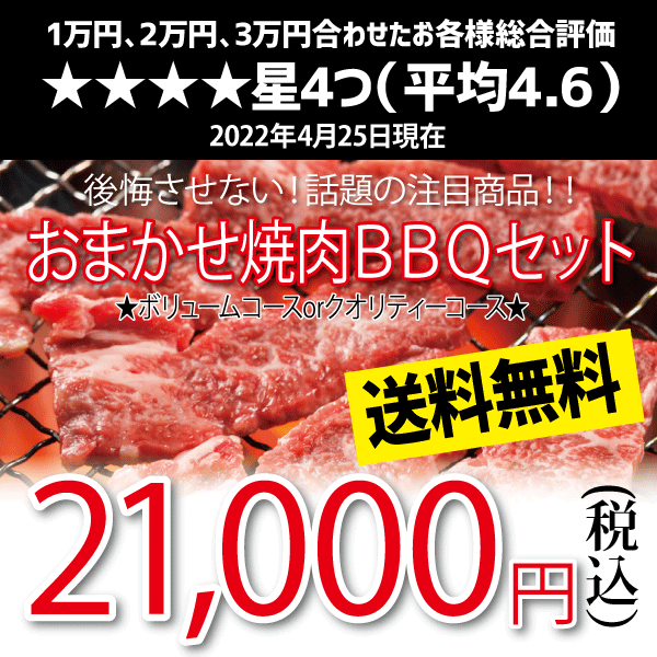 おまかせ焼肉バーベキューセット(21,000円)送料無料 BBQ 幹司さん楽々 かどや牧場 国産牛