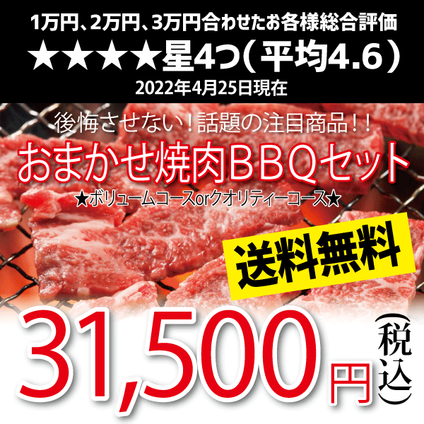 おまかせ焼肉バーベキューセット(31,500円)送料無料 BBQ 幹司さん楽々 お花見 かどや牧場 国産牛