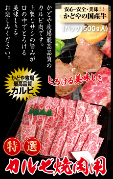 国産牛特選カルビ焼肉用500gバーベキュー BBQ かどや牧場