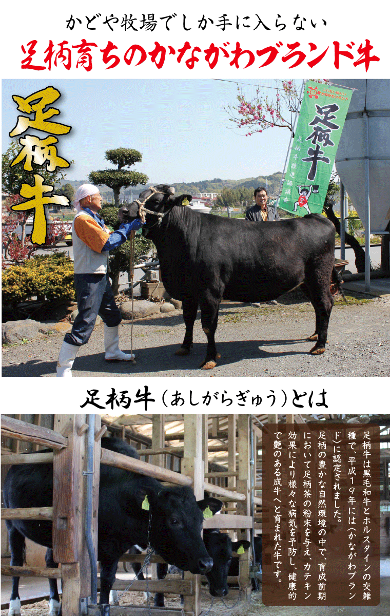 足柄牛しゃぶしゃぶ用モモ500g【鍋】【神奈川】【かながわブランド】【かどや牧場】