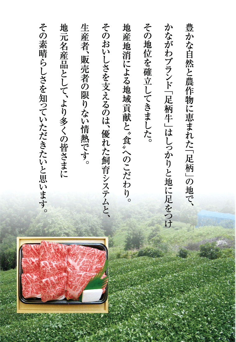 足柄牛スネシチュー用ブロック1kg【スープ】【煮込み】【バーベキュー】【BBQ】【鍋】【かどや牧場】