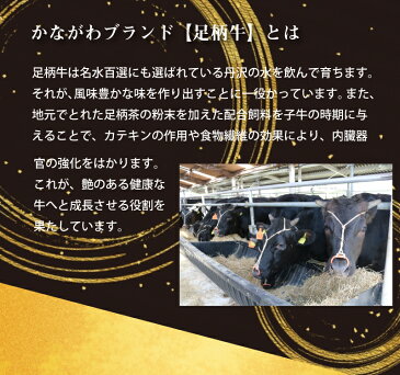 【NEW】足柄牛小分けギフトセットB （牛肩バラ 牛モモ 牛モモステーキ 牛バラ焼肉用 4種8P）