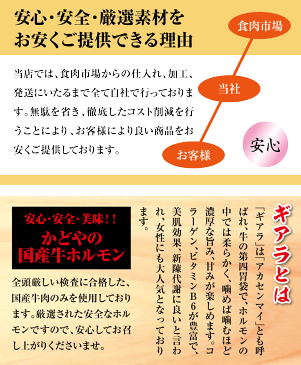 足柄牛ギアラ味付け焼肉用100g【バーベキュー】【BBQ】【ホルモン】【500円均一】【ワンコイン】