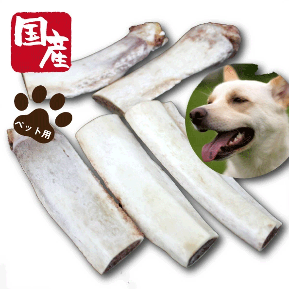 ペット用国産牛バラ骨500g ペット 犬