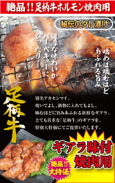 足柄牛ギアラ味付け焼肉用100g【バーベキュー】【BBQ】【ホルモン】【500円均一】【ワンコイン】
