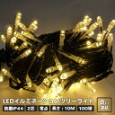 プロフェッショナルLED 2芯 ジャンパンゴールド 電球色 10m 100球ストリングライト ブラックコード クリスマス ライト パーティー ハロウィン ツリー...