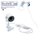 クリップ式ライト E26 (電球なし) クリップライト クリップ式スポットライト おしゃれ コンセント LED電球対応 口金展示用 Ra80 昼白色 電球色 目に優しい 照明 デスクライト スポットライト 展示照明 インテリアライト バー ダイニング 看板 キッチン 撮影 水槽 新生活
