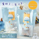 楓乃樹 | 夏限定ラッピングのミニセット(メープルもみじフィナンシェ 4個)【広島 贈り物 プレゼント お取り寄せスイーツ 引越し挨拶 異動 焼き菓子 お土産 ...