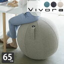 【5/1は全品ほぼP10倍♪】vivora バランスボール シーティングボール ルーノ シェニール 破裂防止 ポンプ付 65cm カバー付き 二重構造 sitting ball chairs LUNO Chenille 体幹 トレーニング 運動器具 ヨガ 筋トレ 姿勢 骨盤 矯正 椅子 座椅子 ながら