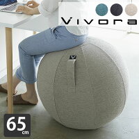 vivora バランスボール シーティングボール ルーノ シェニール 破裂防止 ポンプ付 65cm カバー付き 二重構造 sitting ball chairs LUNO Chenille 体幹 トレーニング 室内 運動器具 ヨガ 筋トレ 宅トレ 姿勢 骨盤 矯正 椅子 座椅子 ながら フィットネス エクササイズ