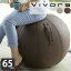 vivora Х󥹥ܡ ƥ󥰥ܡ 롼 쥶å ɻ ݥ 65cm Сդ Ź¤ sitting ball chairs LUNO Leatherrette δ ȥ졼˥  ư 襬 ڥȥ  