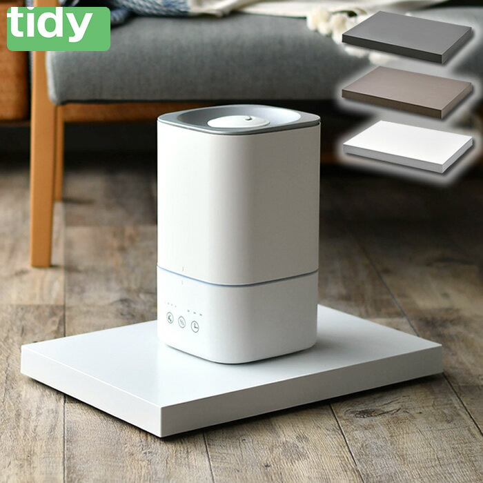 商品名 tidy Platform 商品詳細 サイズ 約 W45×D32×H4.6cm(キャスター含む) 重量 約970g 素材 本体：AES樹脂 キャスター：スチール、ウレタン 耐荷重 約40kg 仕様 キャスター(静音・ストッパーなし)...