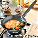 鉄 フライパン ih リバーライト 22cm 【オフィシャルショップ限定】 極PRO 鉄製ハンドル ソテー用フライパン 日本製 オーブン対応 鉄フライパン 極プ...