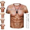 男の裸 面白いtシャツ 半袖 筋肉 おもしろ tシャツ マッチョ 筋肉服 服 tシャツ 筋肉tシャツ 男女兼用 仮装 筋肉 男性 面白いtシャツ 偽筋肉 コスプ...
